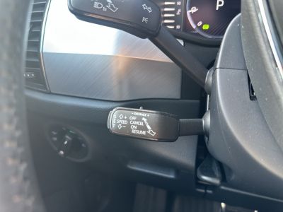 Skoda Kodiaq Gebrauchtwagen Skoda Kodiaq Gebrauchtwagen