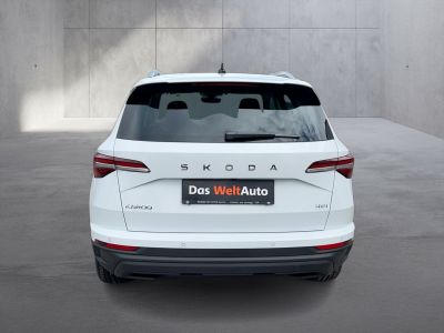 Skoda Karoq Gebrauchtwagen Skoda Karoq Gebrauchtwagen