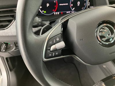 Skoda Kamiq Gebrauchtwagen Skoda Kamiq Gebrauchtwagen