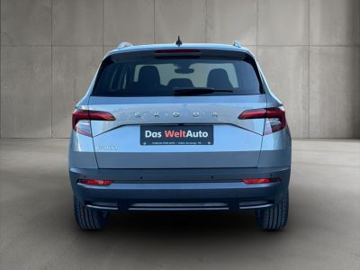 Skoda Karoq Gebrauchtwagen Skoda Karoq Gebrauchtwagen