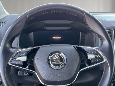 Skoda Karoq Gebrauchtwagen Skoda Karoq Gebrauchtwagen
