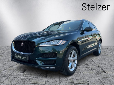 Jaguar F-Pace Gebrauchtwagen