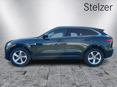 Jaguar F-Pace Gebrauchtwagen