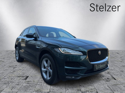 Jaguar F-Pace Gebrauchtwagen