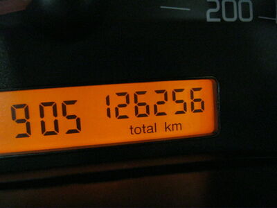 Fiat Panda Gebrauchtwagen