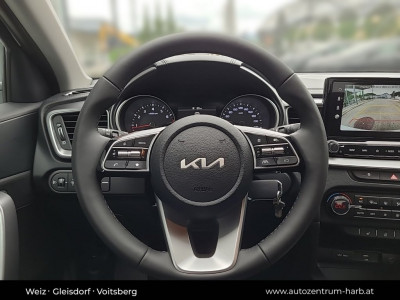 KIA Ceed Tageszulassung