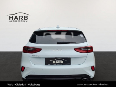 KIA Ceed Tageszulassung