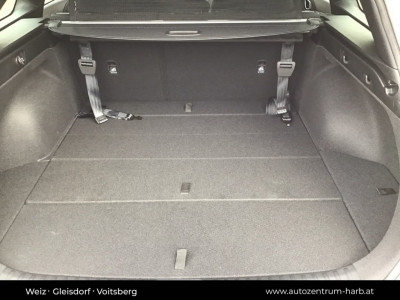 KIA Ceed Vorführwagen KIA Ceed Vorführwagen