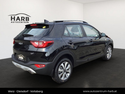 KIA Stonic Neuwagen