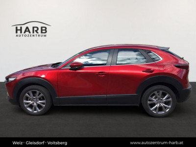 Mazda CX-30 Gebrauchtwagen