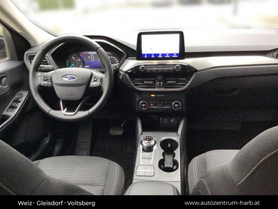 Ford Kuga Gebrauchtwagen