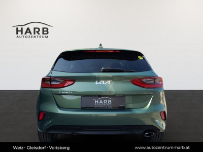 KIA Ceed Neuwagen