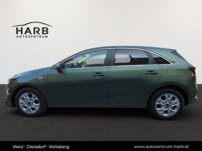 KIA Ceed Neuwagen