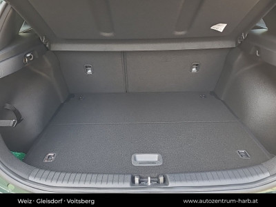 KIA Ceed Neuwagen