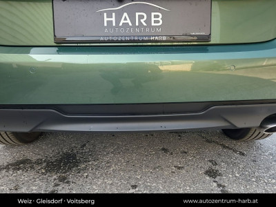 KIA Ceed Neuwagen