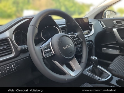 KIA Ceed Neuwagen