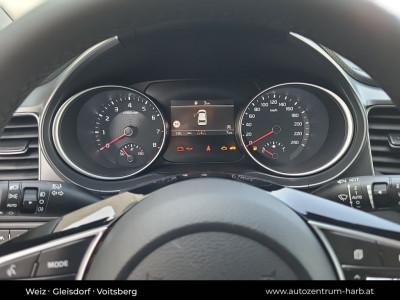KIA Ceed Neuwagen