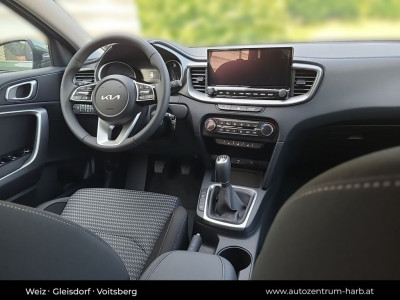 KIA Ceed Neuwagen