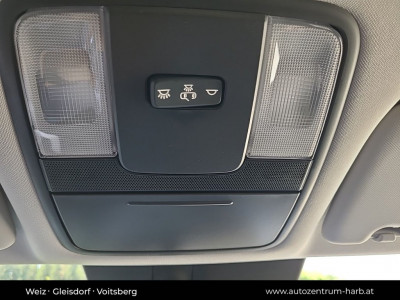 KIA Ceed Neuwagen