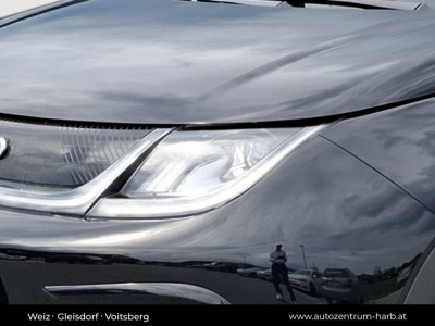 BYD Dolphin Surf Neuwagen