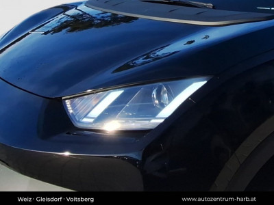 BYD Dolphin Surf Neuwagen