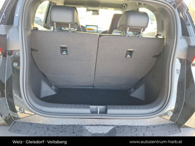 BYD Dolphin Surf Neuwagen