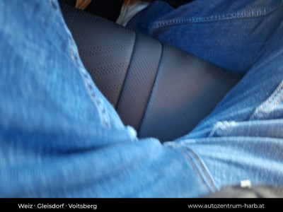 BYD Dolphin Surf Neuwagen