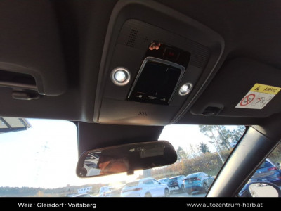 BYD Dolphin Surf Neuwagen