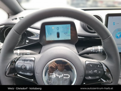 BYD Dolphin Surf Neuwagen BYD Dolphin Surf Neuwagen