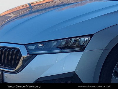 Skoda Octavia Gebrauchtwagen