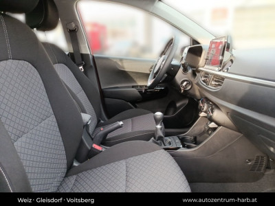 KIA Picanto Neuwagen