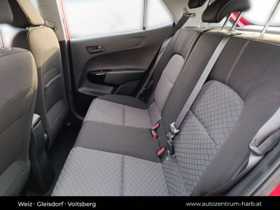 KIA Picanto Neuwagen