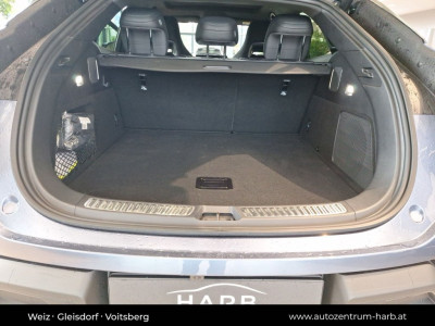 BYD Sealion 7 Vorführwagen