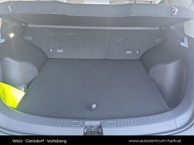 BYD Atto 2 Vorführwagen BYD Atto 2 Vorführwagen