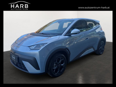 BYD Dolphin Surf Neuwagen