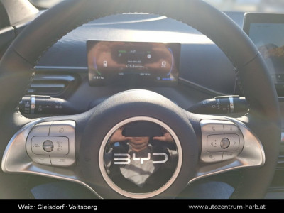 BYD Dolphin Surf Neuwagen BYD Dolphin Surf Neuwagen