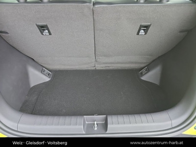 BYD Dolphin Surf Neuwagen