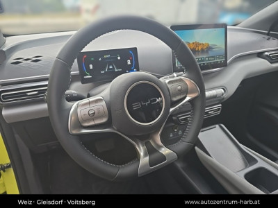 BYD Dolphin Surf Neuwagen