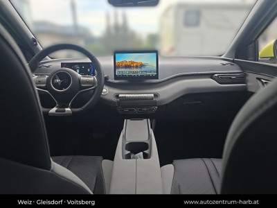 BYD Dolphin Surf Neuwagen