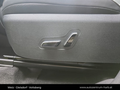 BYD Dolphin Surf Neuwagen