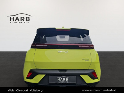 BYD Dolphin Surf Neuwagen