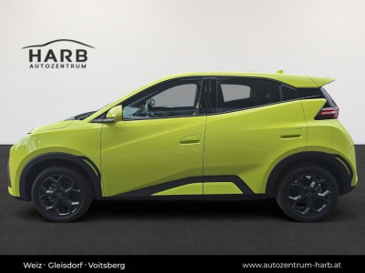 BYD Dolphin Surf Neuwagen