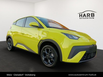 BYD Dolphin Surf Neuwagen