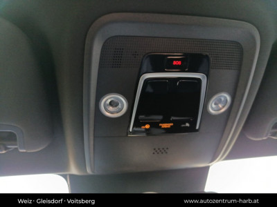 BYD Dolphin Surf Neuwagen