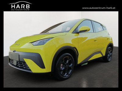 BYD Dolphin Surf Vorführwagen