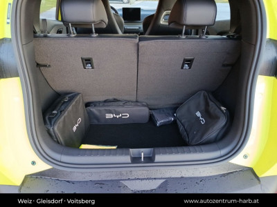 BYD Dolphin Surf Vorführwagen