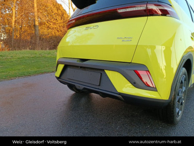 BYD Dolphin Surf Vorführwagen