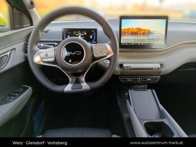 BYD Dolphin Surf Vorführwagen