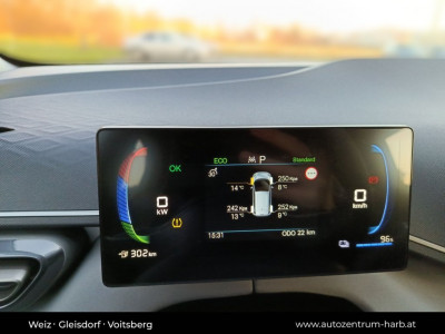 BYD Dolphin Surf Vorführwagen