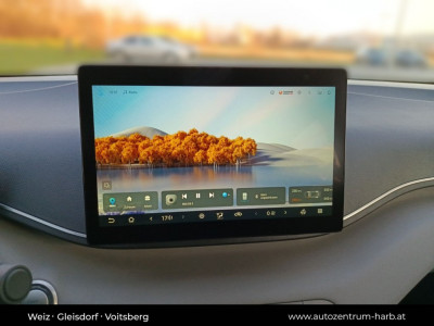 BYD Dolphin Surf Vorführwagen